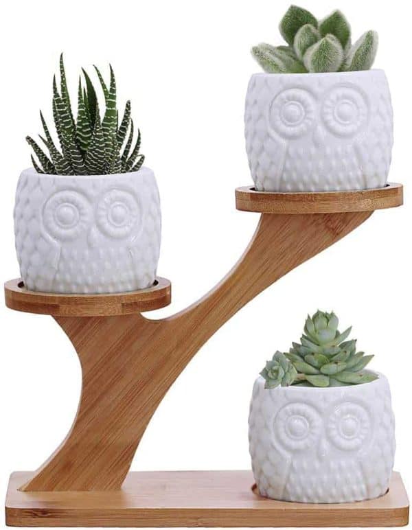 3pcs Owl Succulent Pots with 3 Tier Bamboo Saucers Stand Holder - White Modern Decorative Ceramic Flower Planter Plant Pot with Drainage