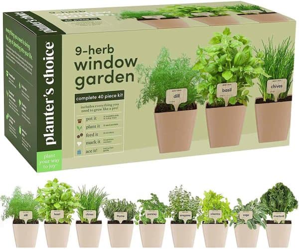 9 Herb Window Garden - Indoor Herb Starter Kit